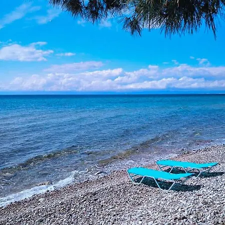 Pine House * Skala Kallirakhis