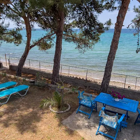 Pine House Holiday home