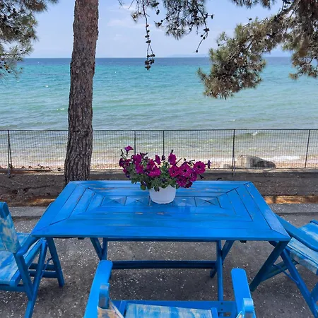 Pine House Holiday home