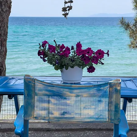 Pine House Holiday home