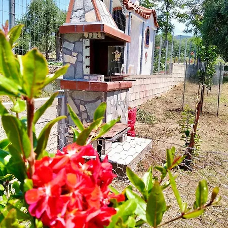 Casa vacanze Pine House Skála Kallirákhis