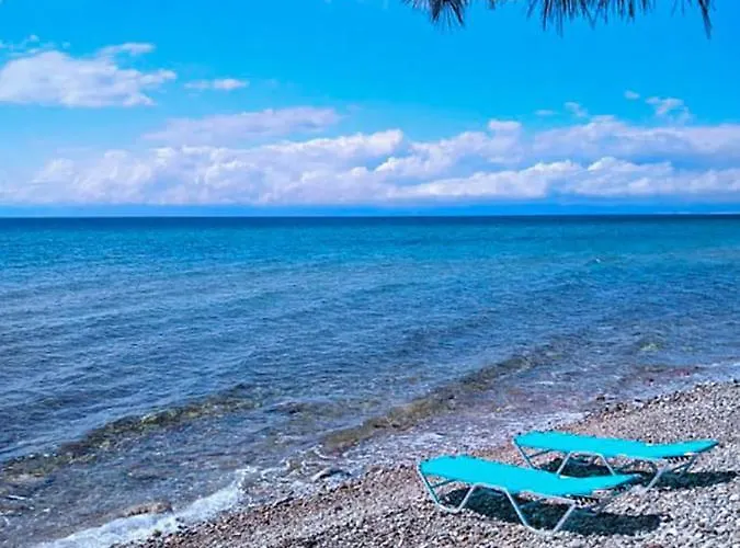 Pine House * Skála Kallirákhis