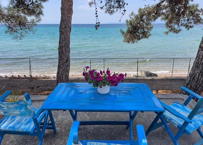 Pine House Tatil Evi