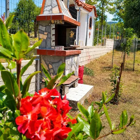 Case de vacanță Pine House
