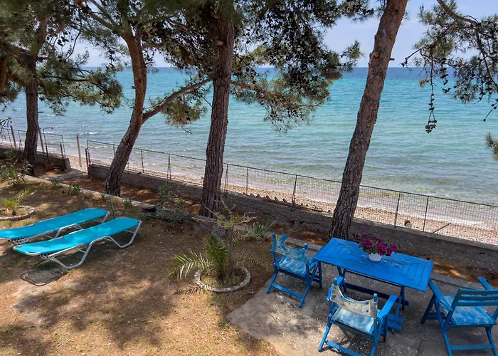 Pine House Tatil Evi