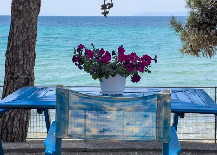 Pine House Tatil Evi